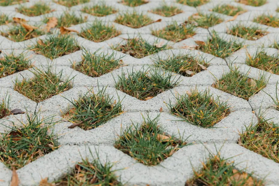 Paving Block Grass Block