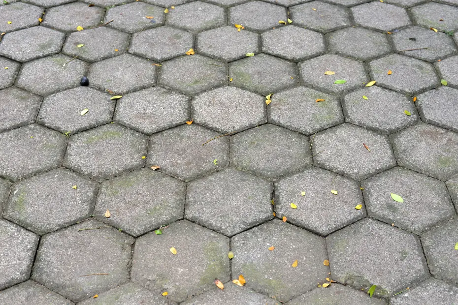Paving Block Hexagon