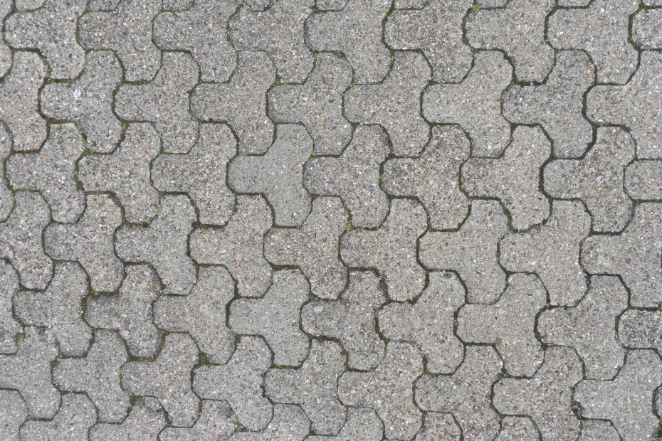 Paving Block Thirex