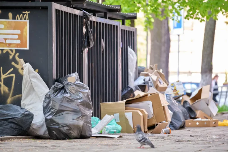 Waste Management Issues